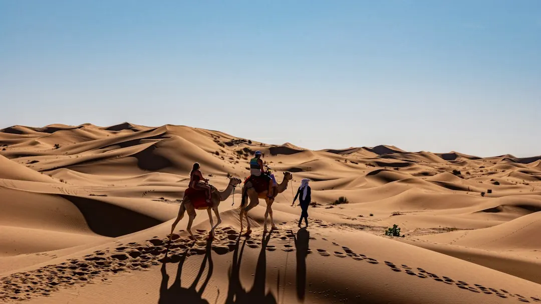 Morocco Adventure Tours 2026: The Ultimate Guide