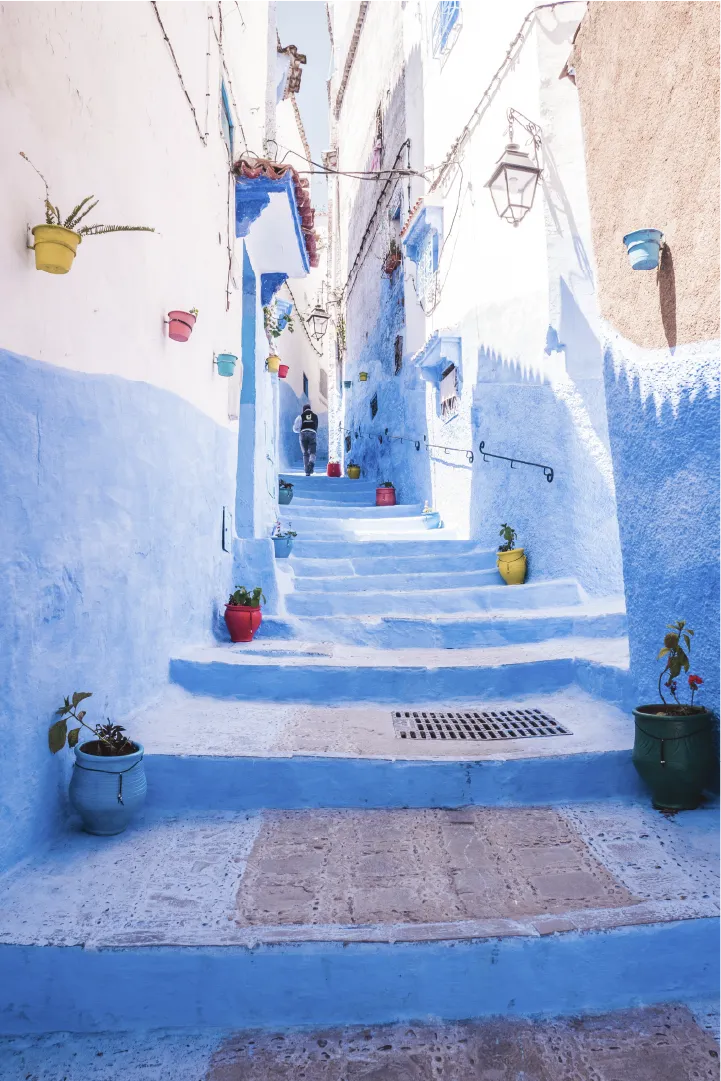 Chefchaouen, Sahara & Coast from Casablanca